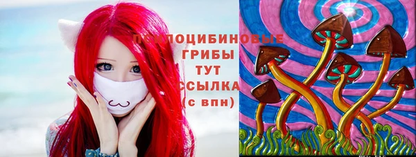 сатива Нязепетровск