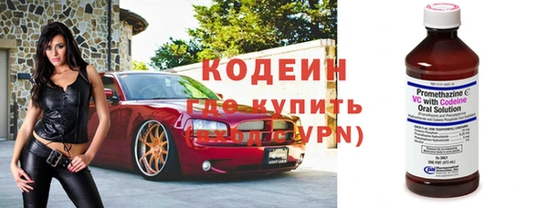 сатива Нязепетровск