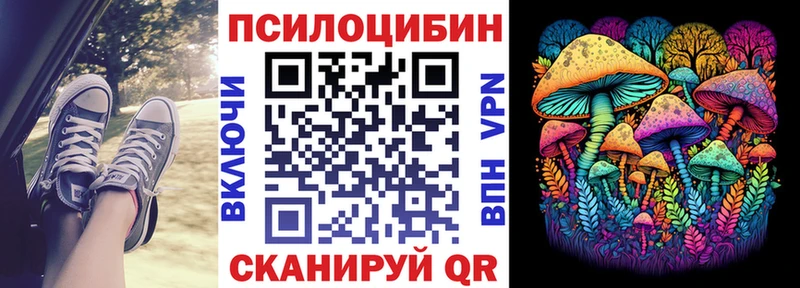 Галлюциногенные грибы MAGIC MUSHROOMS  Тайга 