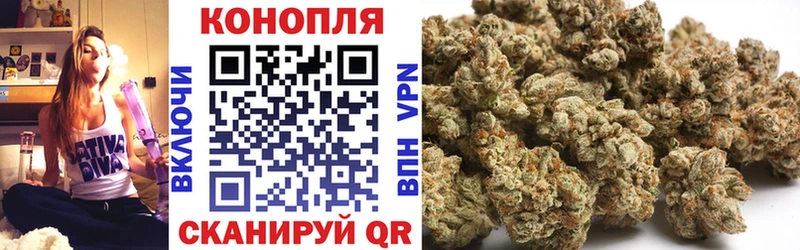 сколько стоит  Тайга  Конопля семена 